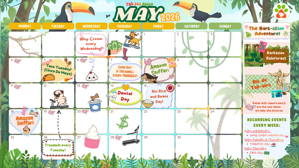 May Activities Calendar for The Dog Patch