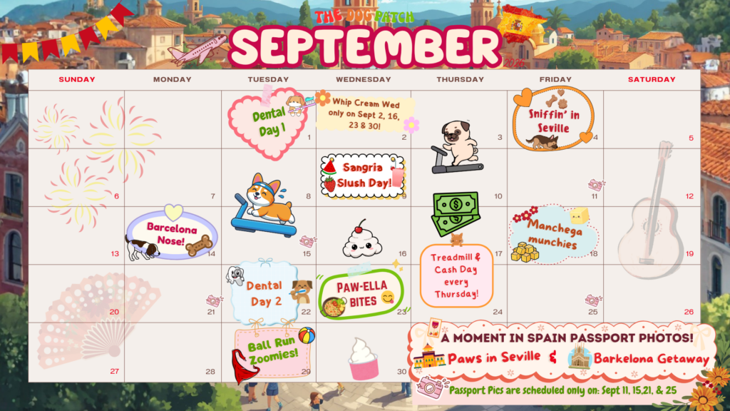The Dog Patch September 2026 Activities Calendar
