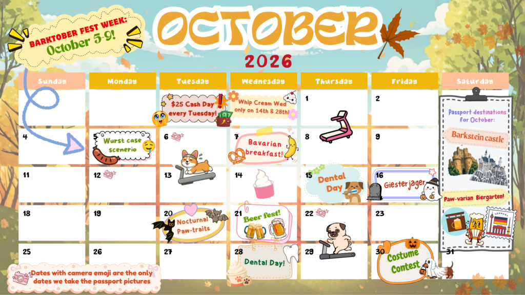 Dog Patch October 2026 Activities